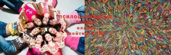 бошки Краснотурьинск